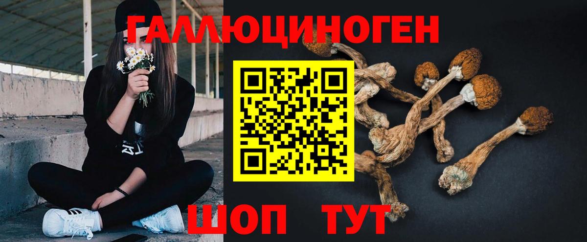 Всеволожск  Галлюциногенные грибы MAGIC MUSHROOMS  Вход с VPN 
